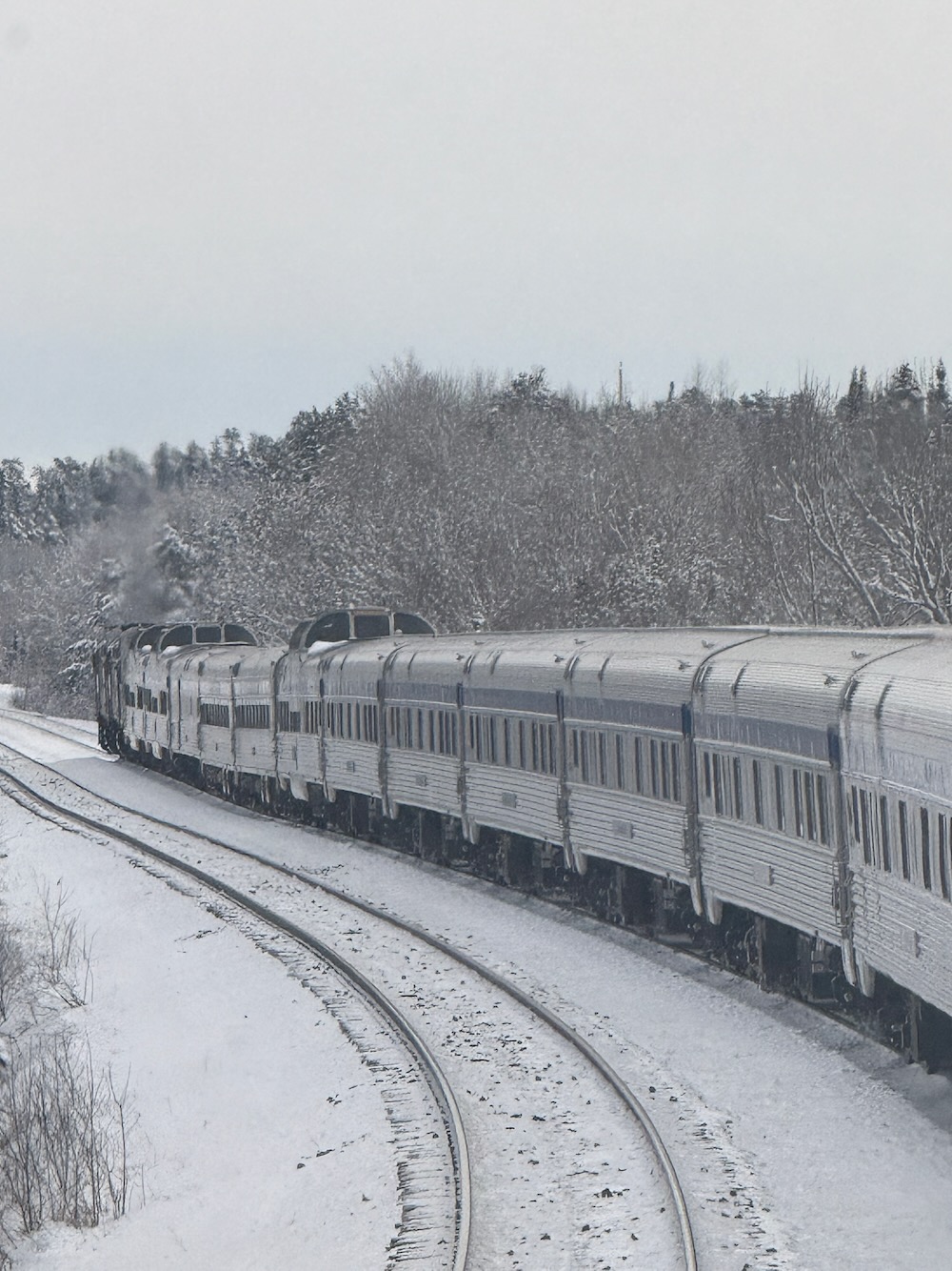 Scenic train journey through mountains